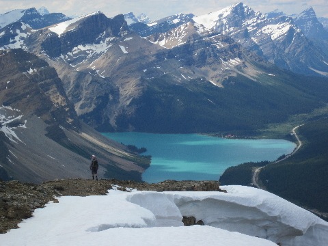 Bow Lake from Bow Peak