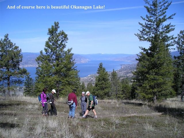 Okanagan Lake view