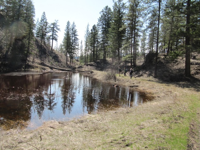 Spring run-off pond